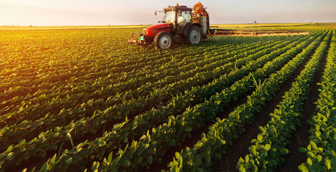 agriculture 